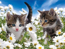 Load image into Gallery viewer, 5D Diamond Painting Cat Full Square /Round Diamond