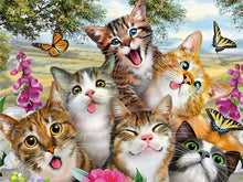 Load image into Gallery viewer, 5D Diamond Painting Cat Full Square /Round Diamond