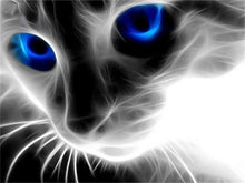 Load image into Gallery viewer, 5D Diamond Painting Cat Full Square /Round Diamond