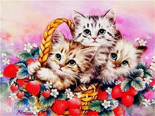 Load image into Gallery viewer, 5D Diamond Painting Cat Full Square /Round Diamond