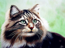 Load image into Gallery viewer, 5D Diamond Painting Cat Full Square /Round Diamond