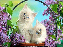 Load image into Gallery viewer, 5D Diamond Painting Cat Full Square /Round Diamond