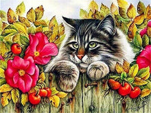 Load image into Gallery viewer, 5D Diamond Painting Cat Full Square /Round Diamond