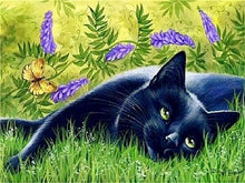 Load image into Gallery viewer, 5D Diamond Painting Cat Full Square /Round Diamond