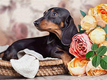 Load image into Gallery viewer, 5d Diamond Art /Painting Dog Flower Animal Full Square
