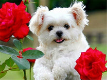 Load image into Gallery viewer, 5d Diamond Art /Painting Dog Flower Animal Full Square
