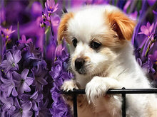 Load image into Gallery viewer, 5d Diamond Art /Painting Dog Flower Animal Full Square
